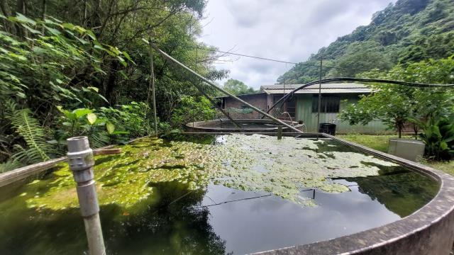 橫山農地-0