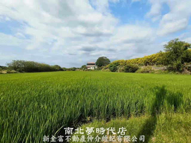 台南六甲農地-2
