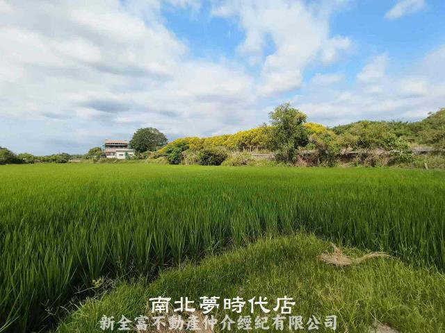 台南六甲農地-3