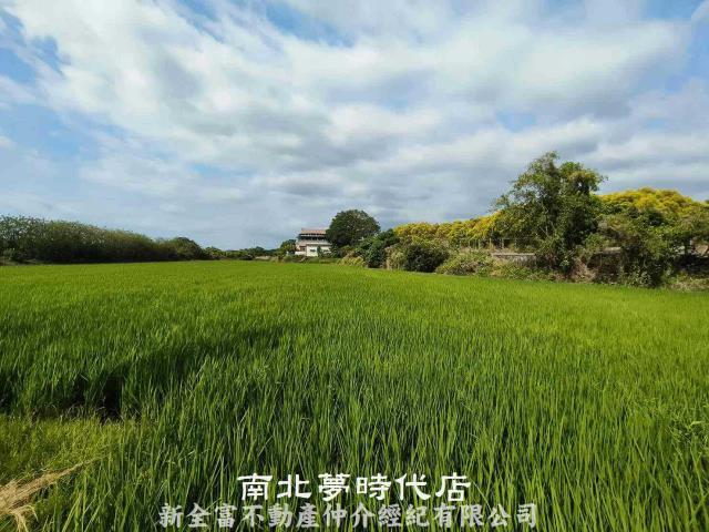 台南六甲農地-6