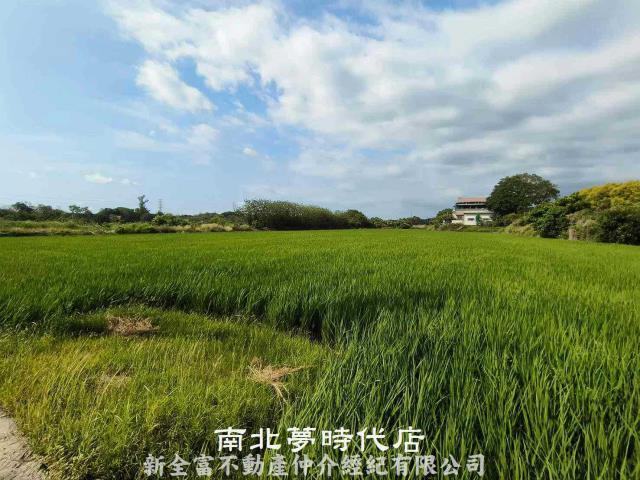 台南六甲農地-7