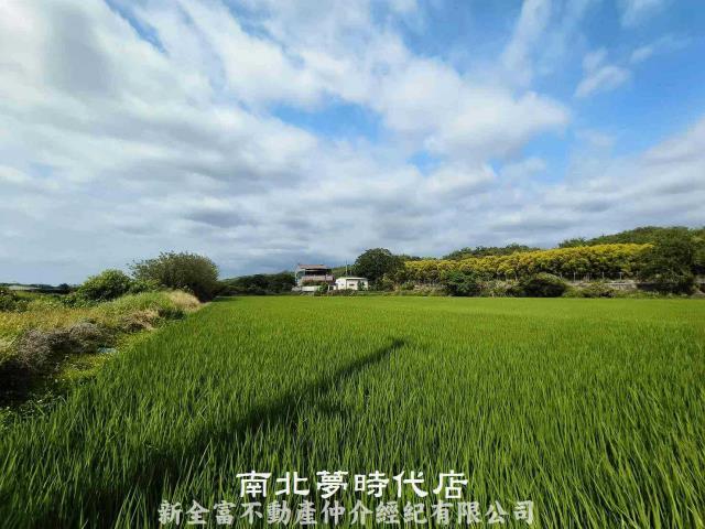 台南六甲農地-8
