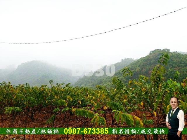 卑南農地-5