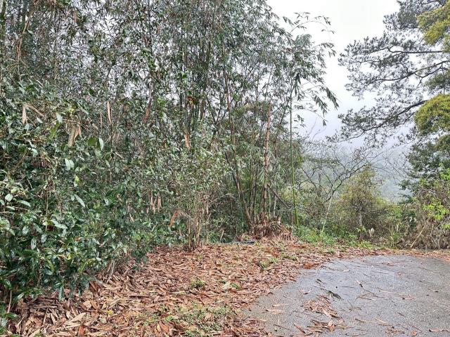 埔里農地-0