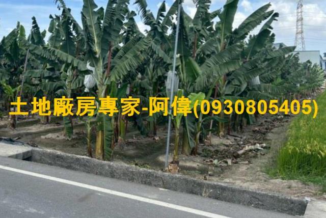 高雄農地-0