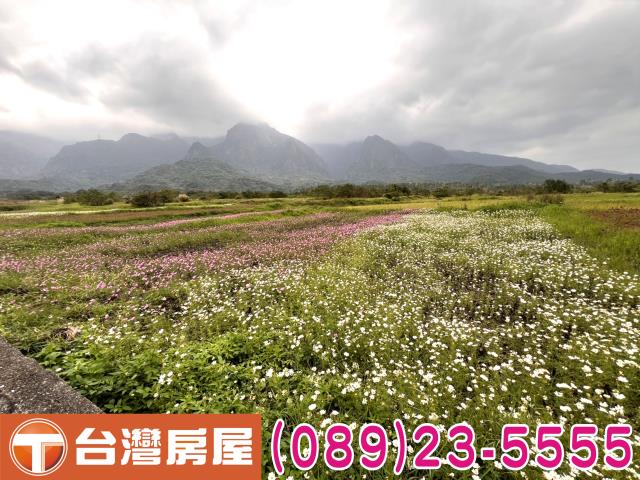 台東農地-6