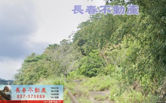 西湖農地-0