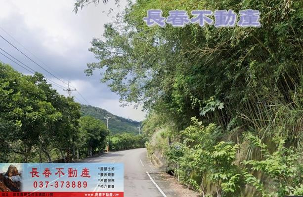 西湖農地-2