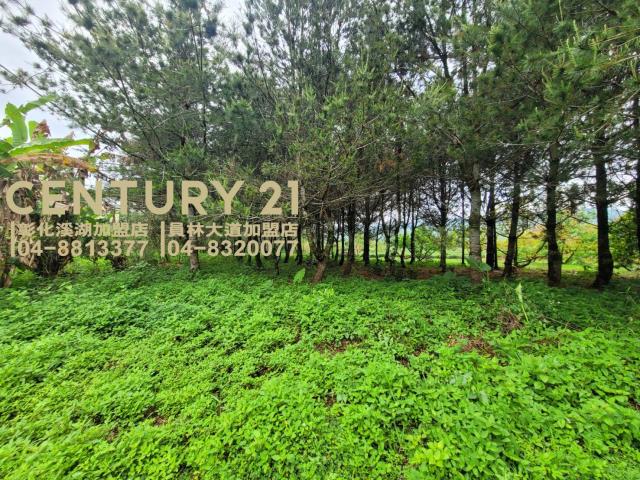 竹山農地-2