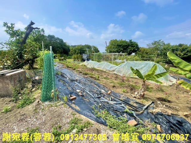 路竹農地-2