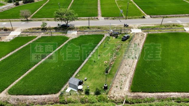 台南官田農地-1