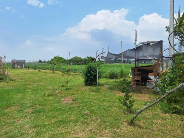 台南官田農地-5