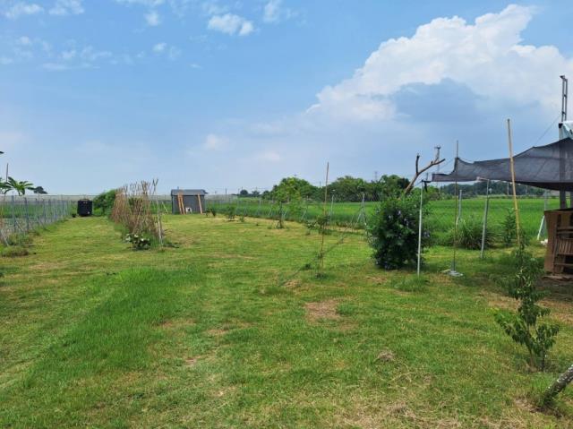 台南官田農地-7