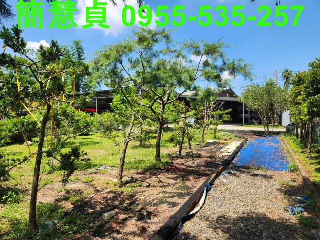 名間農地-8