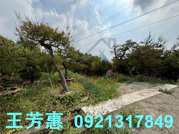 豐原農地-3