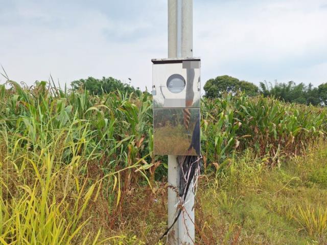 台南官田農地-0