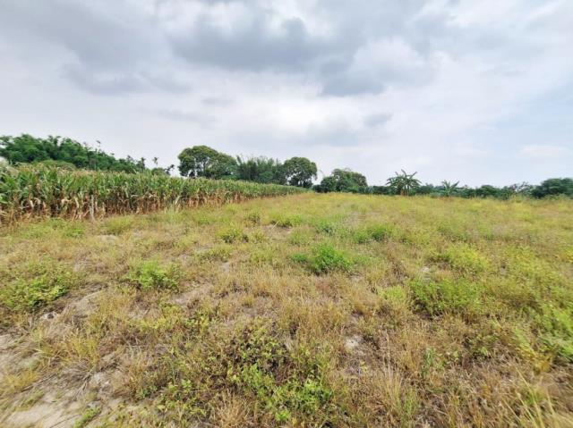 台南官田農地-3