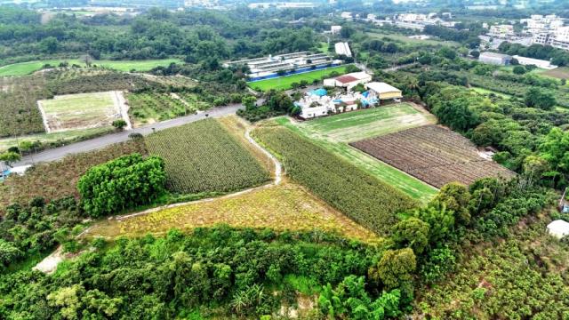 台南官田農地-4