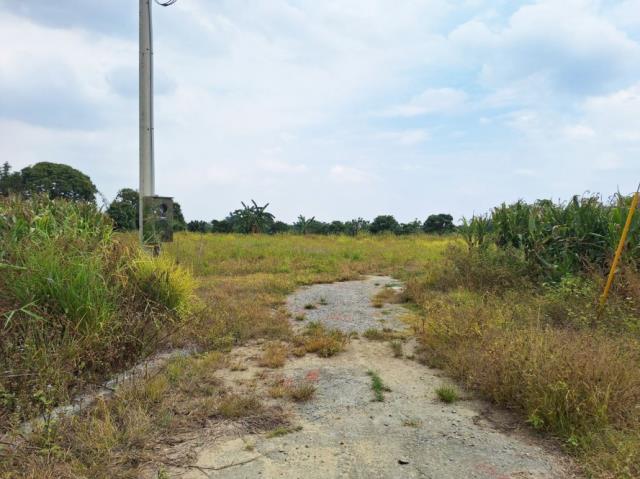 台南官田農地-5