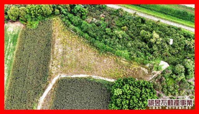 台南官田農地-6