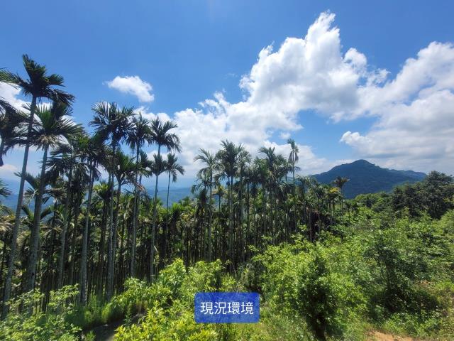 南投國姓農地-2