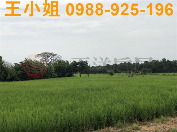 桃園新屋農地-0