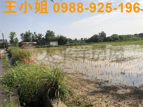 桃園新屋農地-3