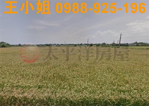 桃園新屋農地-5