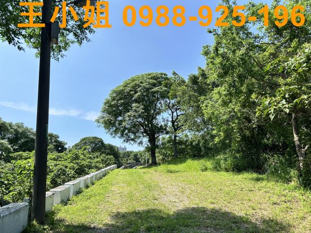 桃園桃園區農地-9