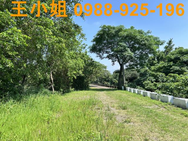 桃園桃園區農地-10