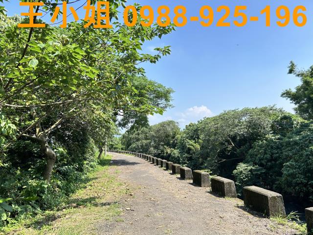 桃園桃園區農地-11