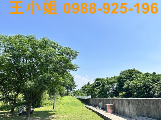 桃園桃園區農地-12