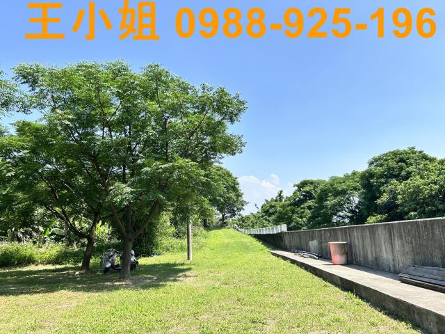 桃園桃園區農地-13