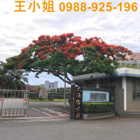 桃園桃園區農地-14