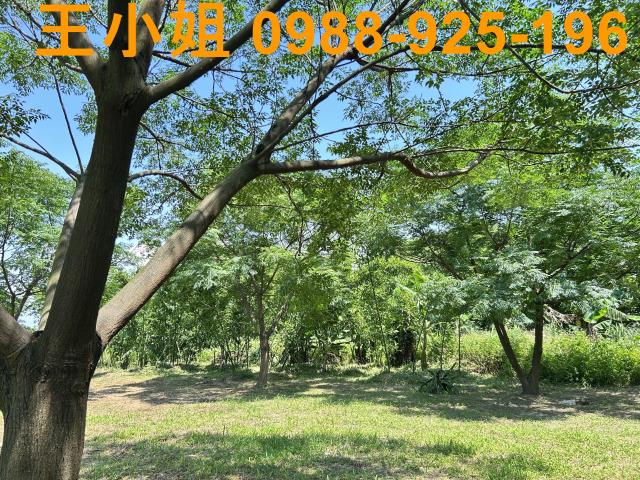 桃園桃園區農地-0