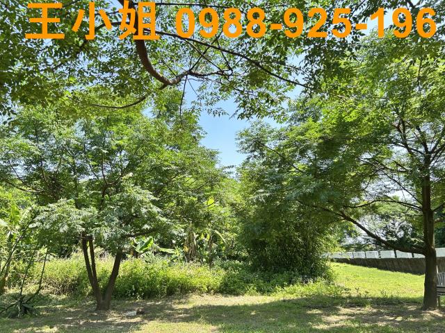 桃園桃園區農地-1