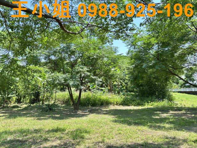 桃園桃園區農地-2