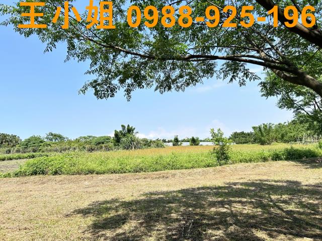 桃園桃園區農地-3