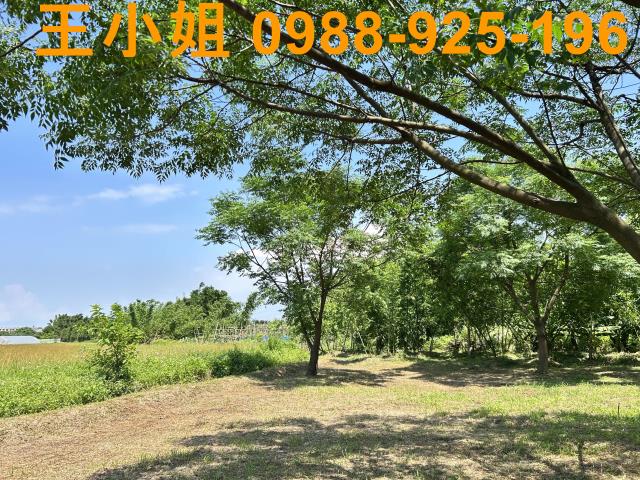 桃園桃園區農地-4