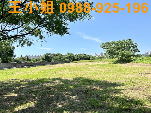 桃園桃園區農地-5