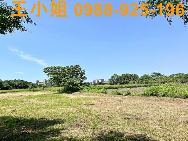 桃園桃園區農地-6