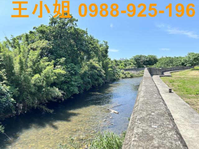 桃園桃園區農地-7