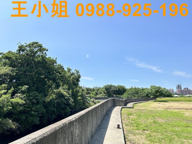 桃園桃園區農地-8