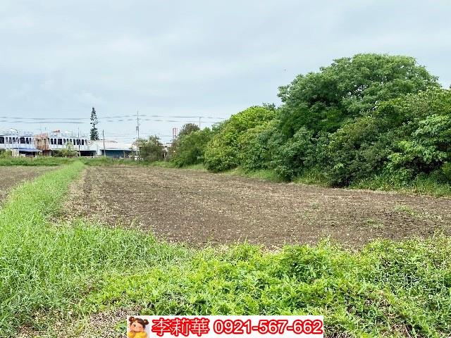 嘉義新港農地-11
