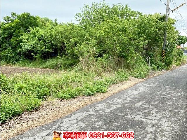 嘉義新港農地-6