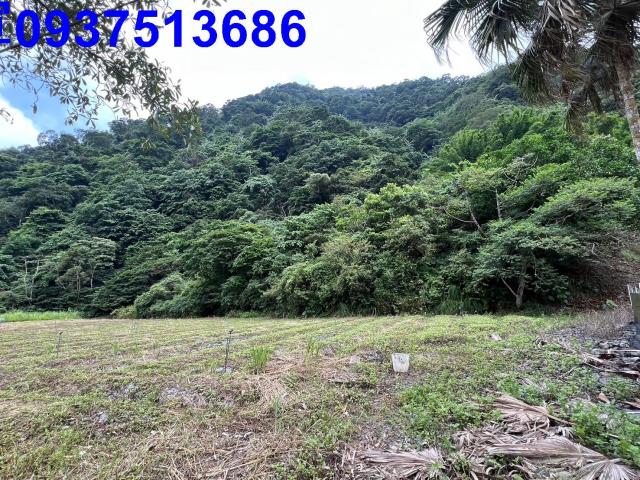 宜蘭農地-3