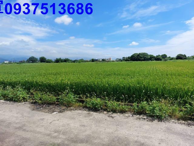 宜蘭農地-2