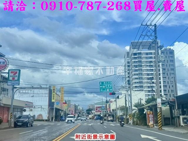 台南善化建地-8