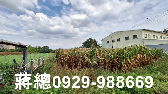 台南新市農地-2