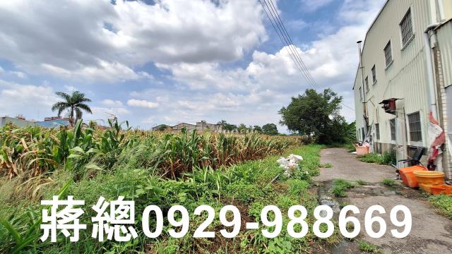 台南新市農地-7
